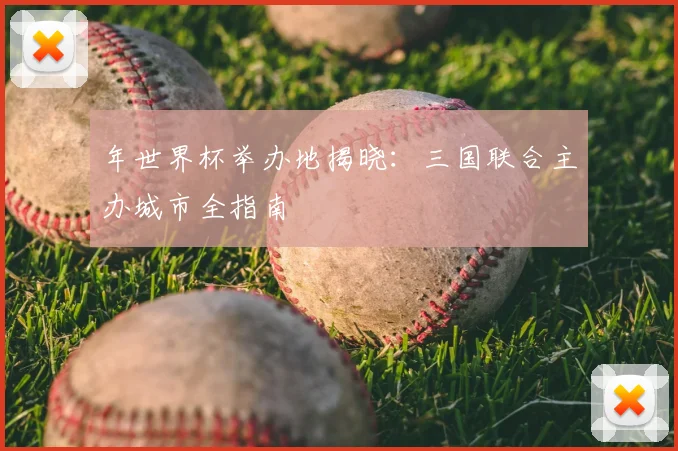 年世界杯举办地揭晓：三国联合主办城市全指南