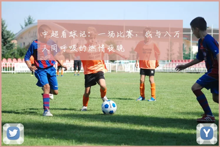 中超看球记:一场比赛,我与八万人同呼吸的燃情夜晚