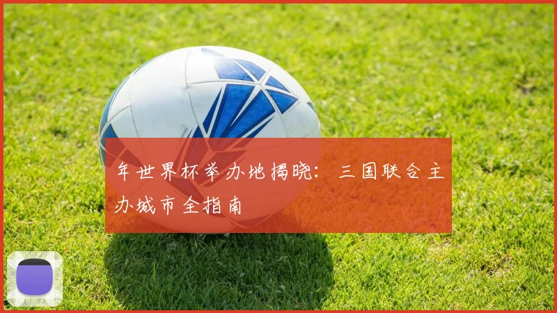 年世界杯举办地揭晓：三国联合主办城市全指南