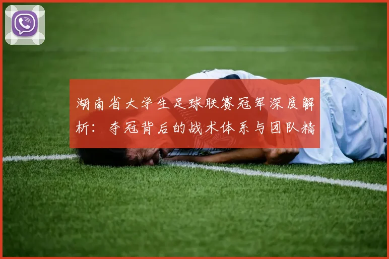 湖南省大学生足球联赛冠军深度解析:夺冠背后的战术体系与团队精神探秘