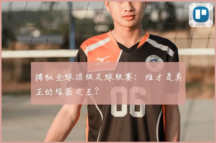 揭秘全球顶级足球联赛:谁才是真正的绿茵之王?