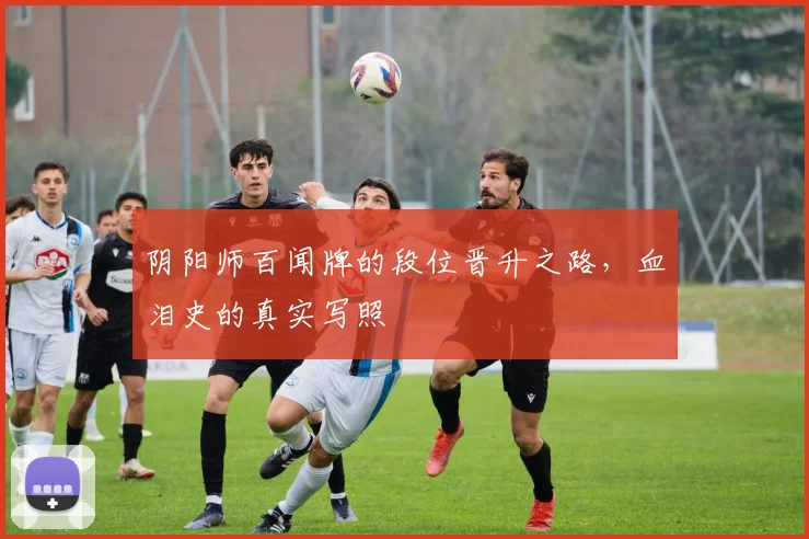 阴阳师百闻牌的段位晋升之路,血泪史的真实写照