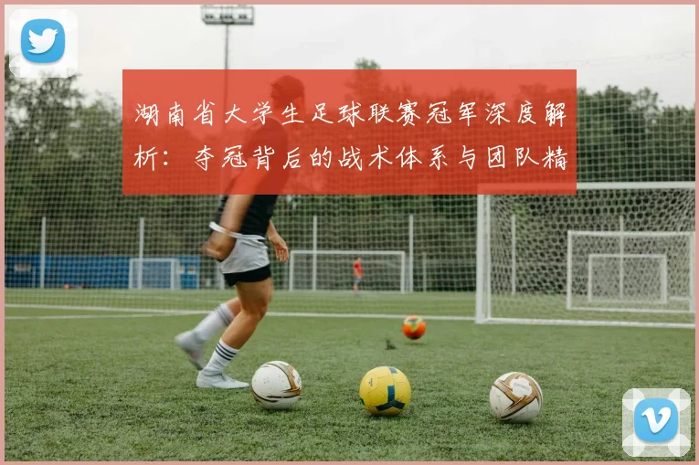 湖南省大学生足球联赛冠军深度解析:夺冠背后的战术体系与团队精神探秘